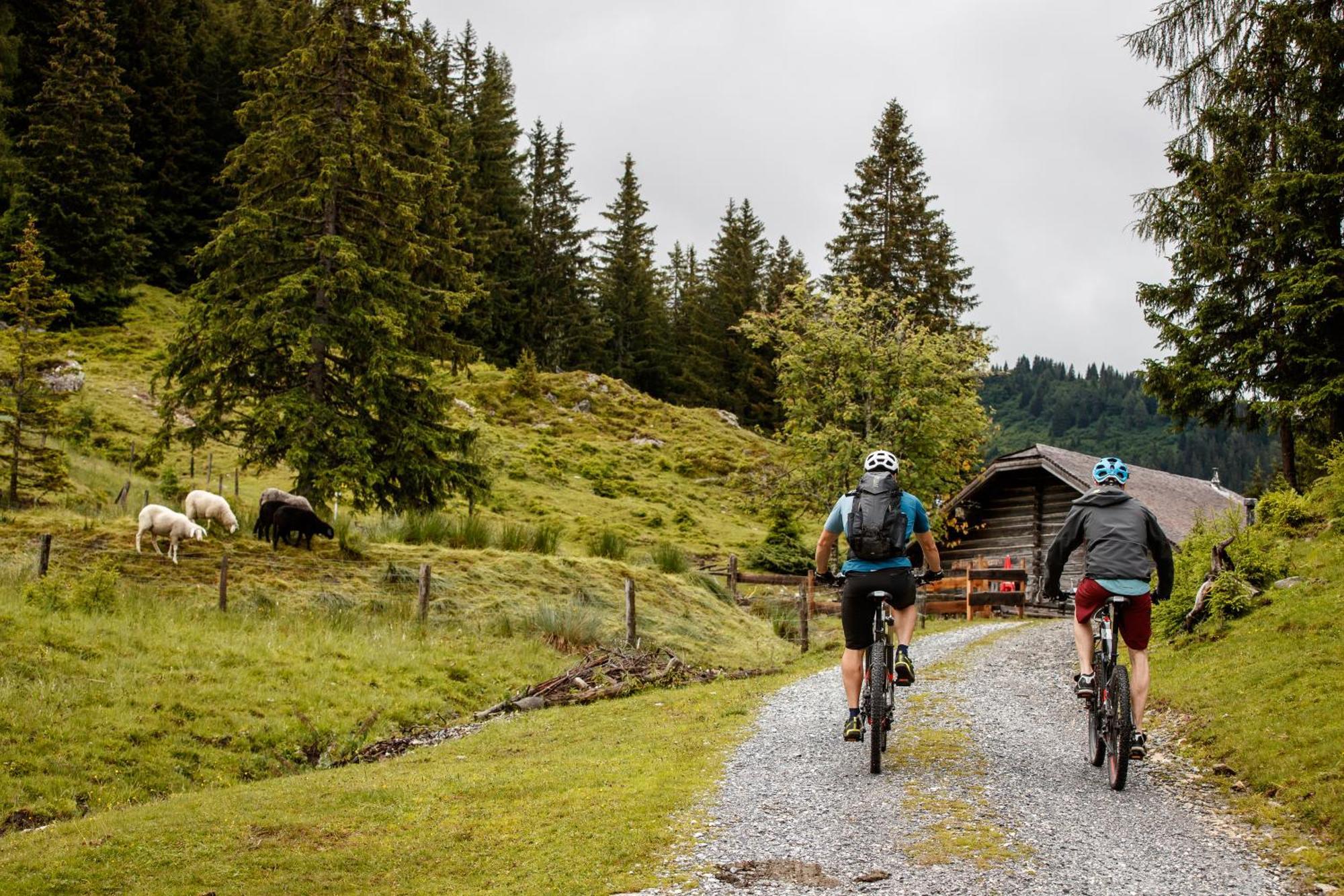 Ferienhaus Sommerbichl Zell am See Eksteriør bilde
